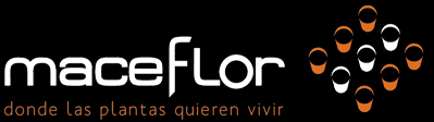 maceflor